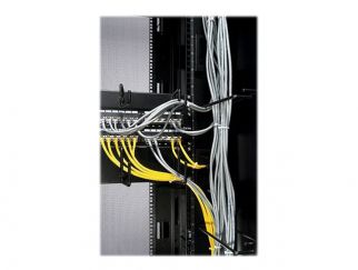 APC - cable organizer - 2U