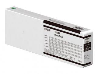 Epson T804100 - photo black - original - ink cartridge
