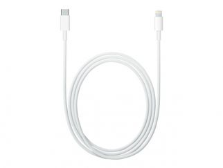 Apple USB-C to Lightning Cable - Lightning cable - Lightning / USB 3.1 - 1 m