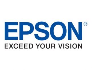 Epson T699700 - ink maintenance box