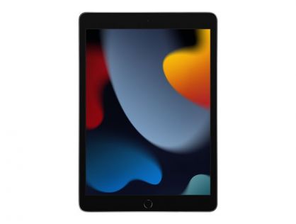 Apple 10.2-inch iPad Wi-Fi - 9th generation - tablet - 256 GB - 10.2" IPS (2160 x 1620) - space grey